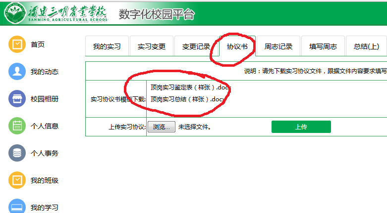 d픍bͿY.png